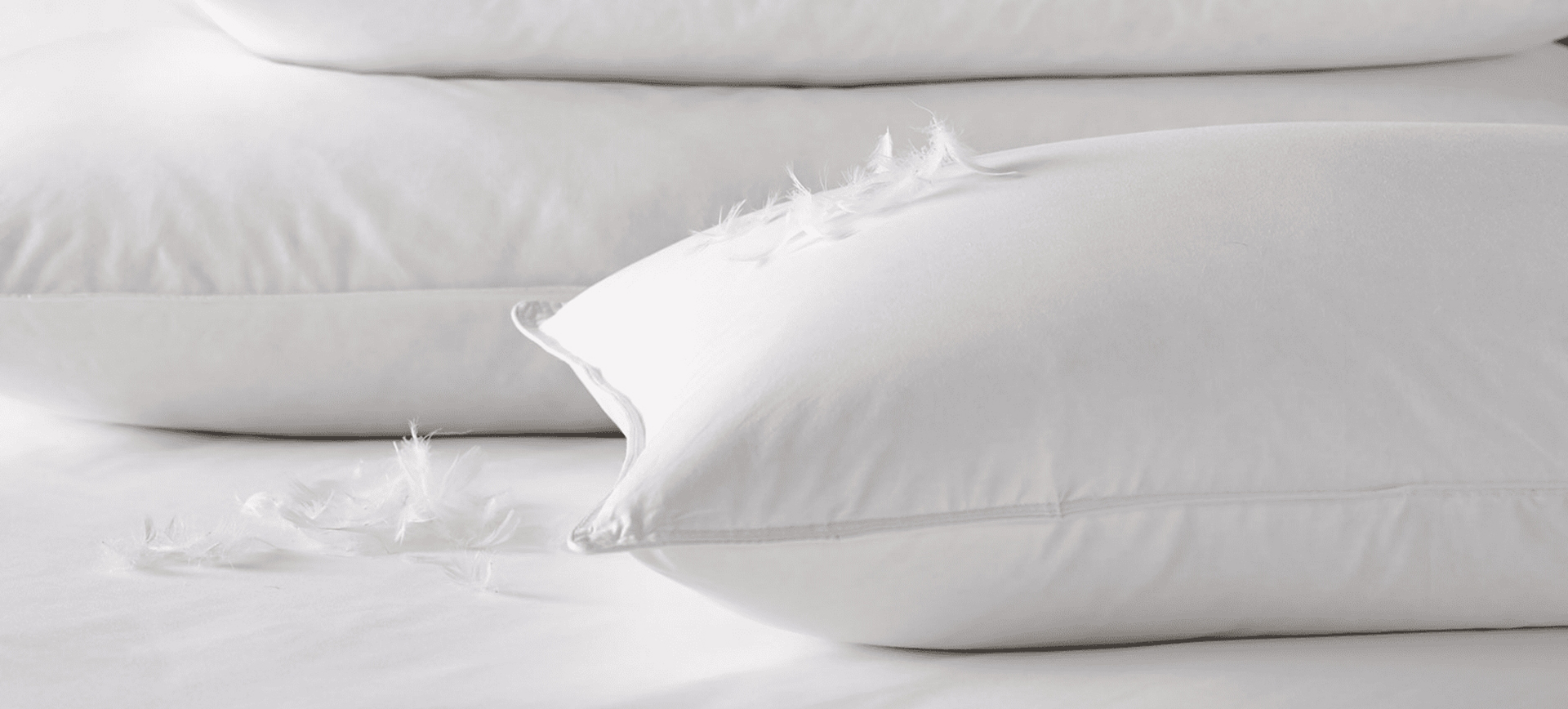 Zhejiang Shengjie Down Products Co. ، Ltd.